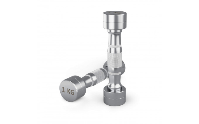 Гантель UNIX Fit PRO круглая хромированная 1 кг, 2 шт.